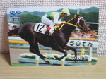 horse 001.jpg